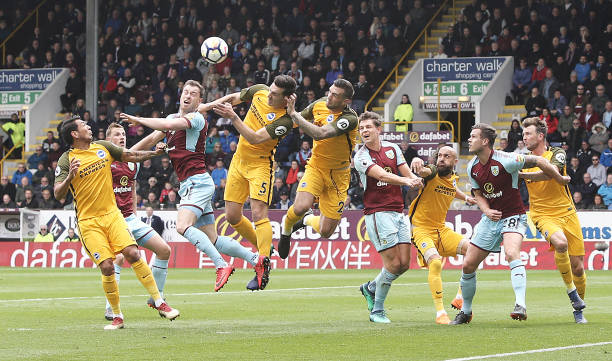 球迷们或许 球迷们或许