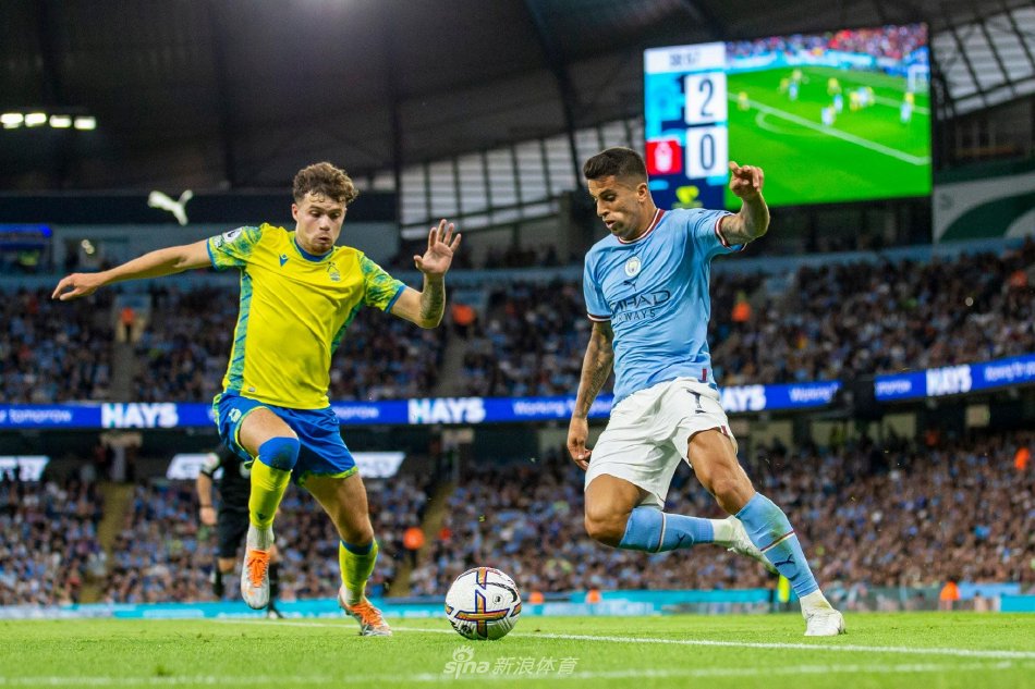 间接影响 间接影响